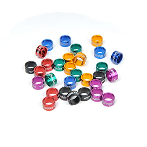 Kusbilezigi.com foto 2