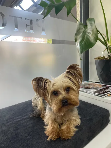 PETCLASS VETERİNER KLİNİĞİ foto 2