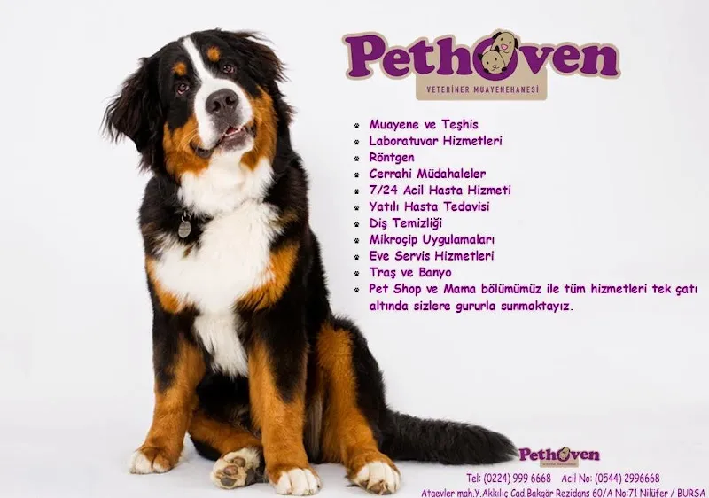 Pethoven Veteriner foto 2