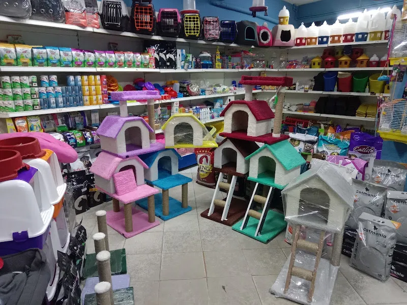 Arda petshop foto 2