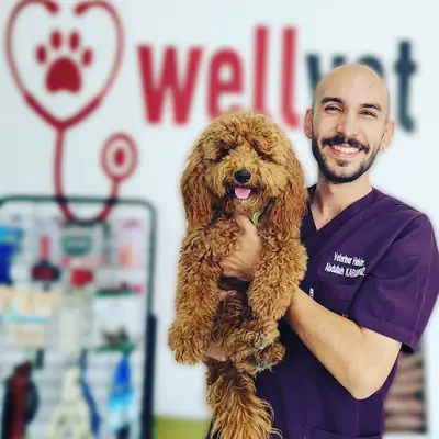 Denizli WellVet Veteriner Sağlık Merkezi fotoğrafı