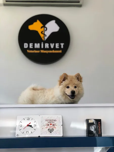 Demirvet Veteriner Kliniği foto 2