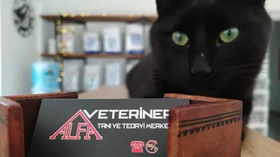 ALFA VETERİNER TANI VE TEDAVİ MERKEZİ fotoğrafı