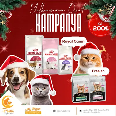 Pastel Petshop fotoğrafı