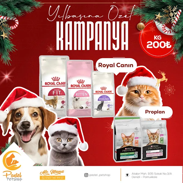 Pastel Petshop foto 1