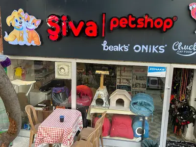 ŞİVA PETSHOP fotoğrafı