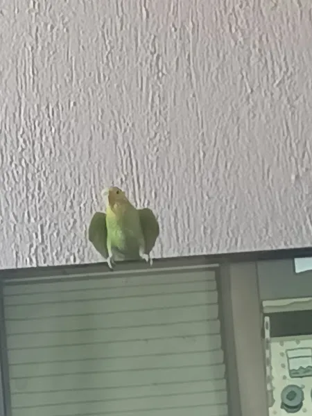 ŞİVA PETSHOP foto 2
