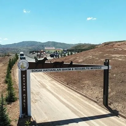 Sokak Hayvanları Rehabilite ve Bakım Merkezi foto 1