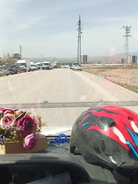 Sokak Hayvanları Rehabilite ve Bakım Merkezi foto 2