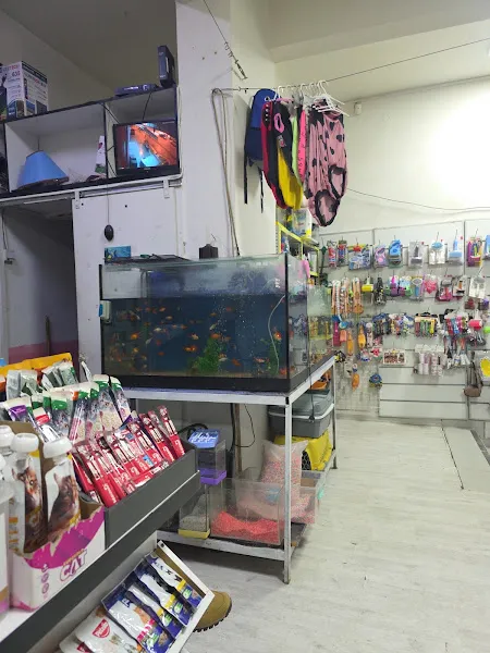 Gisa Petshop foto 2