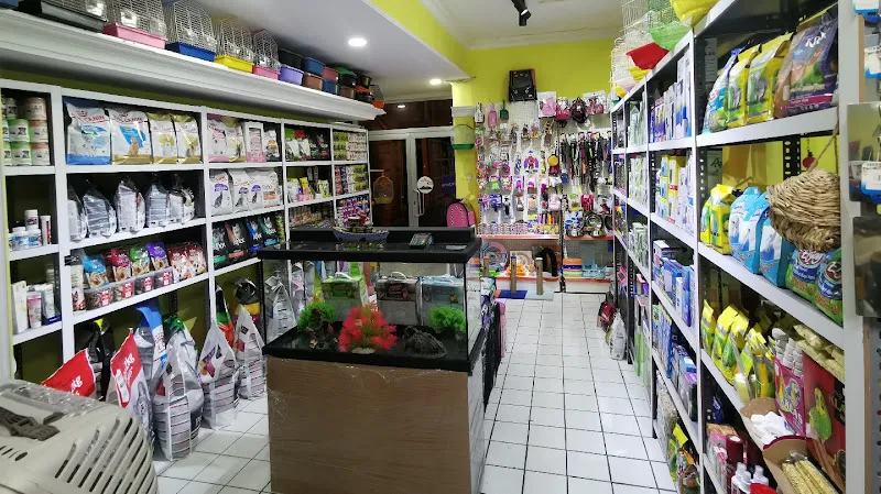 YEZDA PET SHOP foto 2
