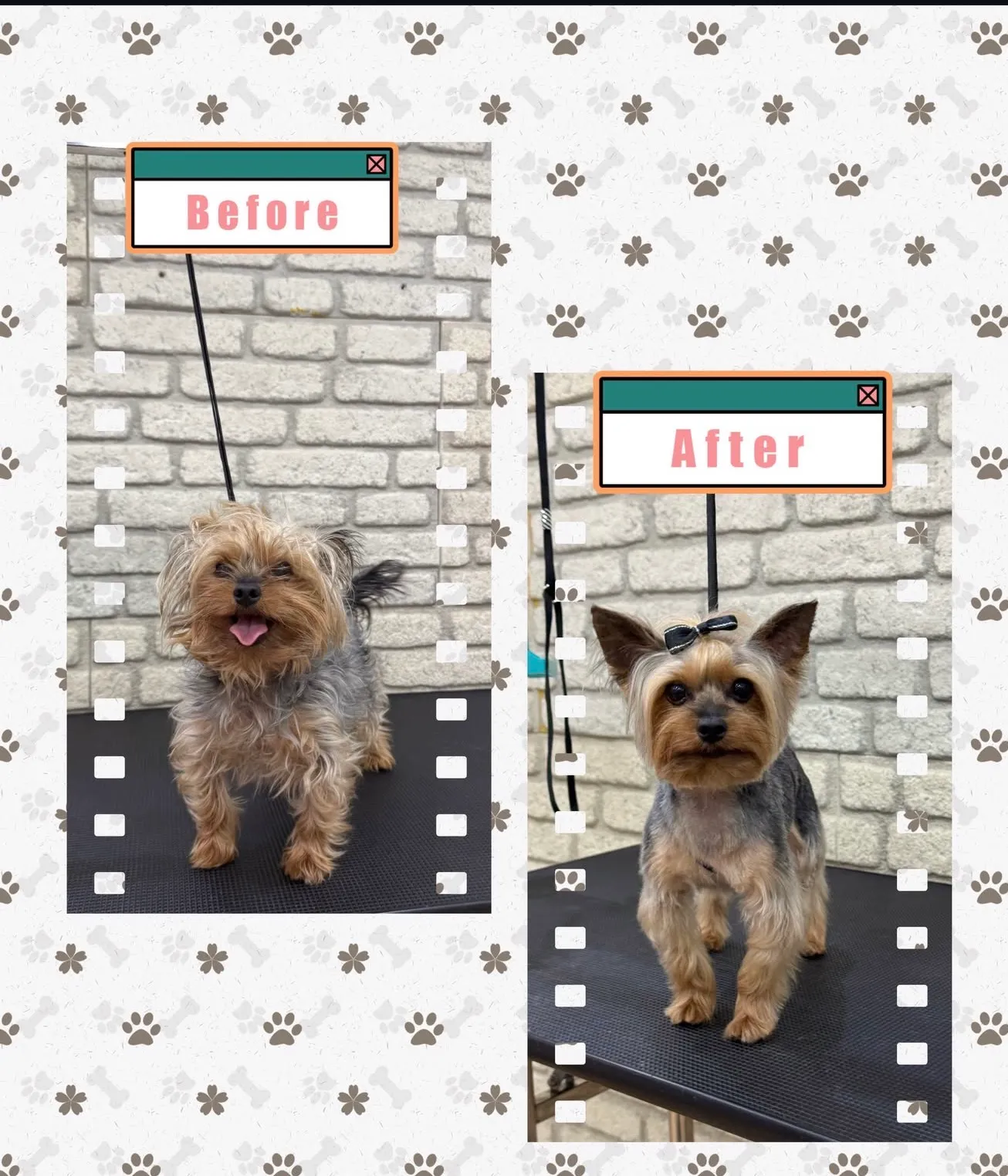 GroomUp Studio foto 1