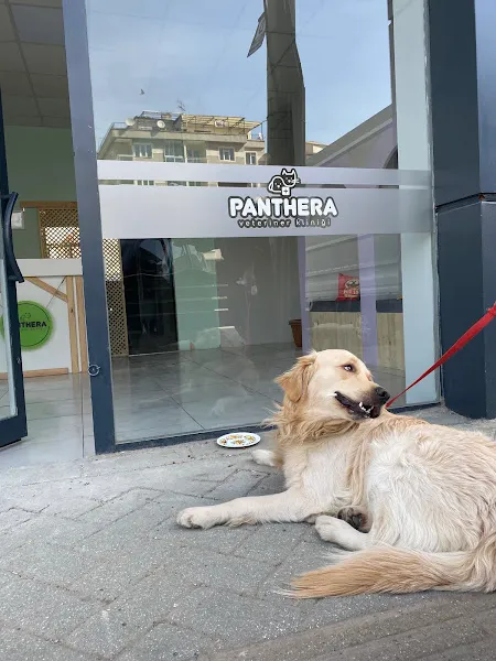 Panthera Veteriner Kliniği foto 2