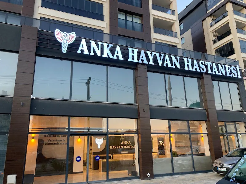 Can Veteriner Kliniği foto 1