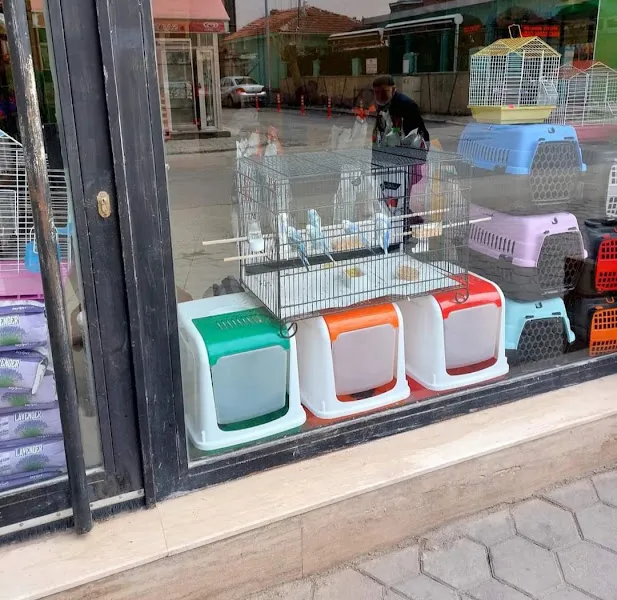 Kanatlı dünyam foto 1