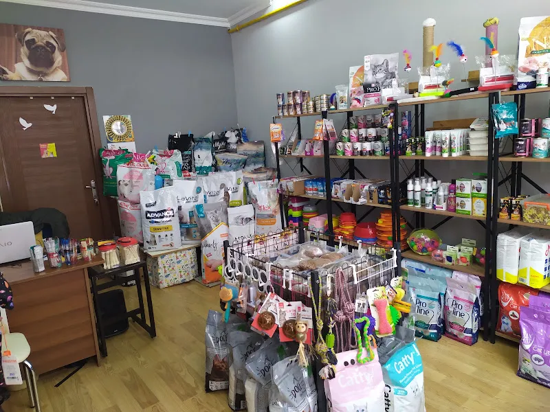 DOLY PETSHOP foto 2