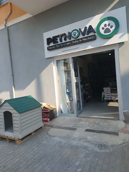 Petnova foto 1