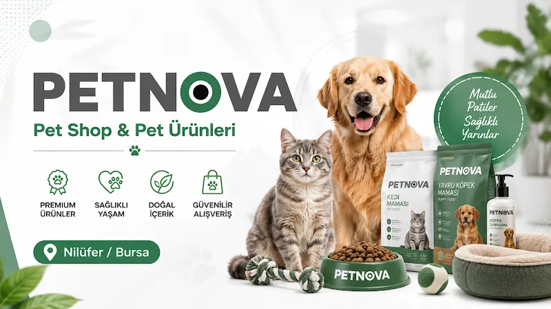 Petnova foto 2