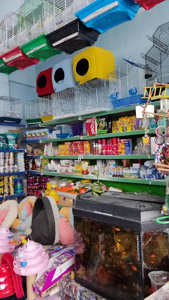 Emre Petshop foto 1