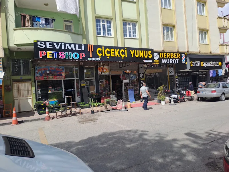 Akvaryum Tasarim Merkezi foto 2