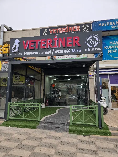 Puppyloji Veteriner kliniği foto 1