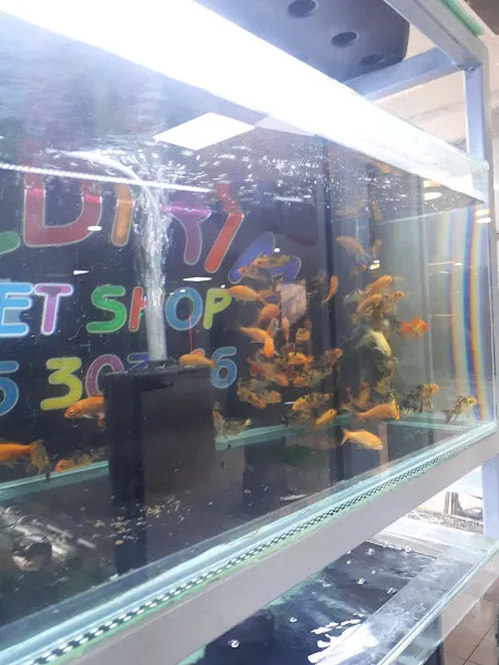 Sarem Pet Shop foto 2
