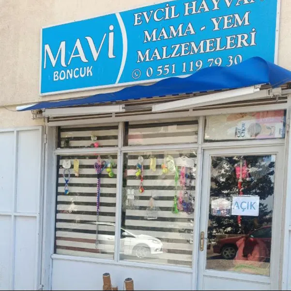 Mavi Boncuk Petshop foto 1
