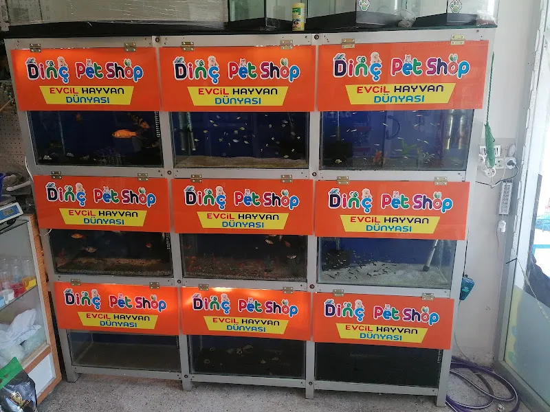 Dinç petshop foto 2