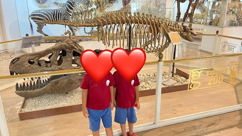 Hayvanat Bahçesi Zoo foto 2