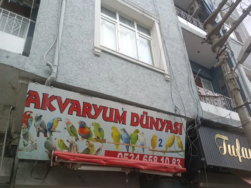 AKVARYUM DÜNYASI foto 1