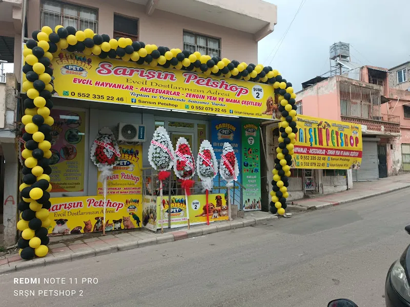 Sarışın petshop 2 taşındı ulucami caddesi foto 1
