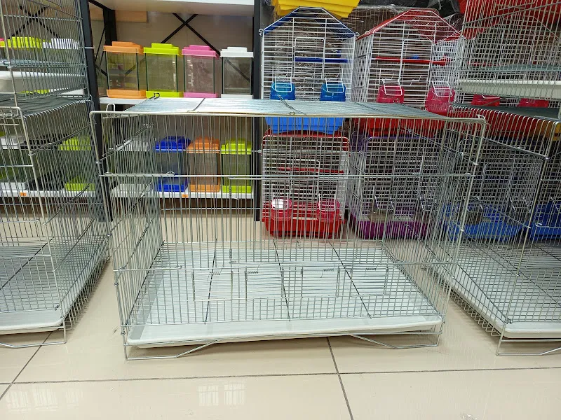 Sarışın petshop 2 taşındı ulucami caddesi foto 2