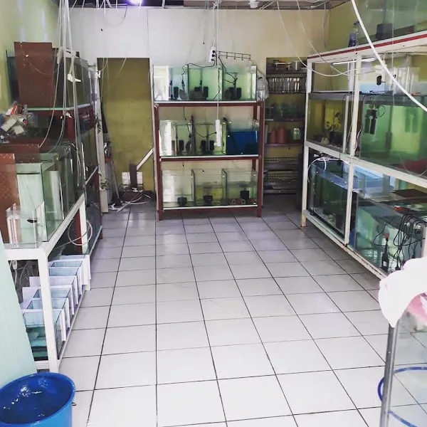 Ades Pet Home foto 1