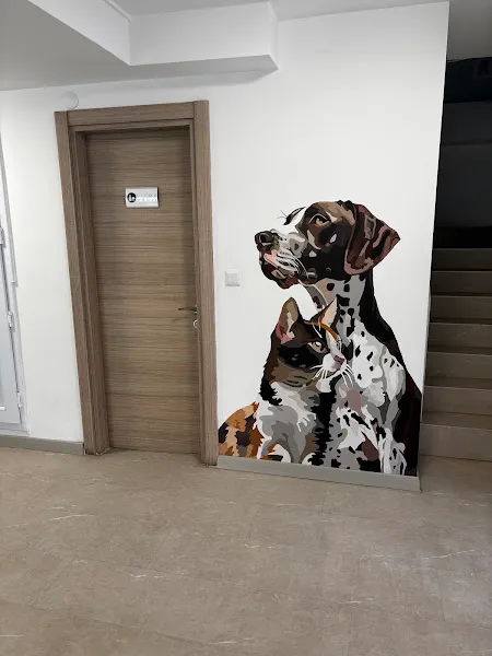 Minimal Veteriner Kliniği foto 2