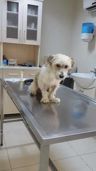 Snoopy Veteriner Kliniği foto 2