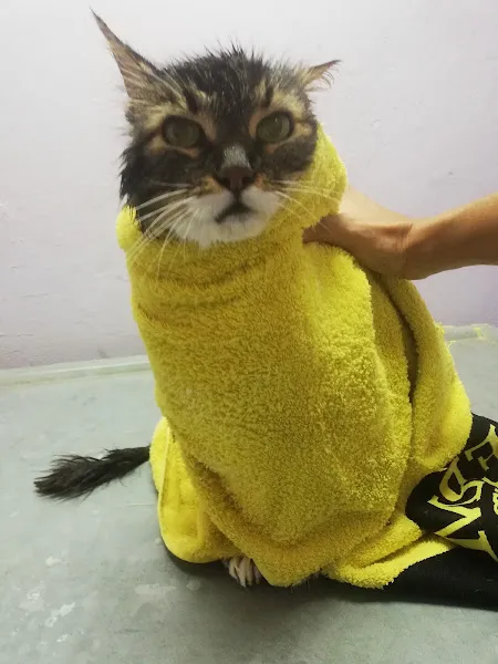 Pan-vet Veteriner Kliniği foto 1