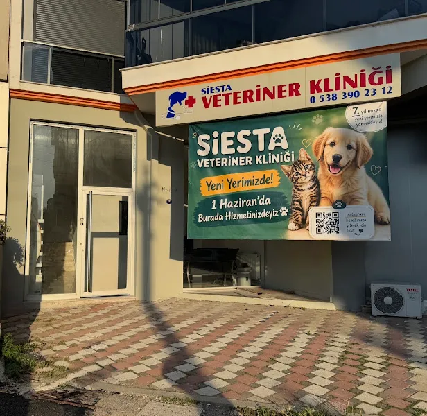 Siesta Veteriner Kliniği foto 1