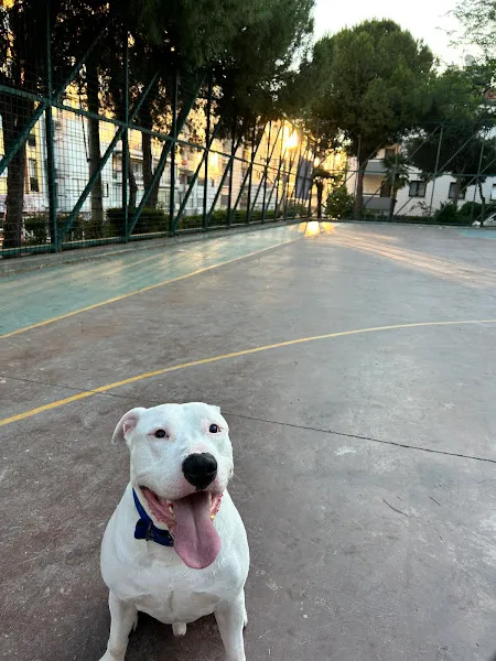Canberk Baykal Veteriner Kliniği foto 2
