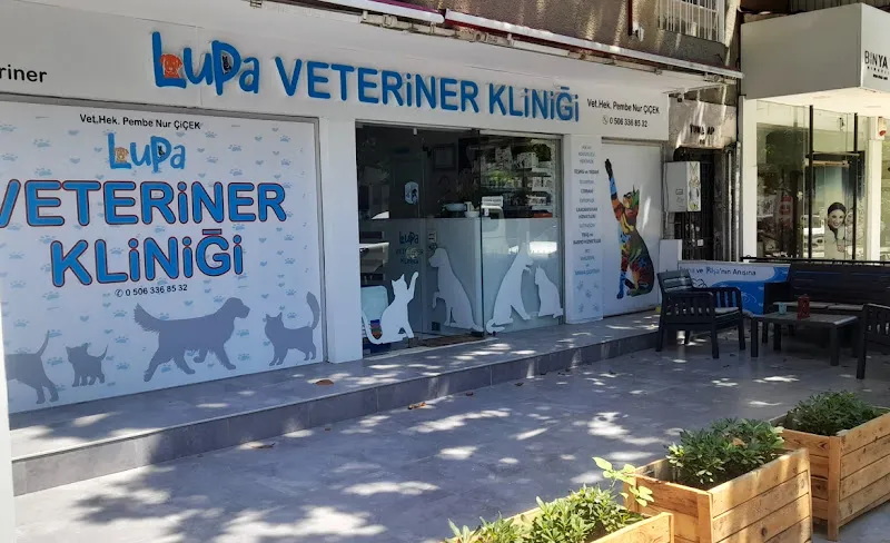 Lupa Veteriner Kliniği foto 1