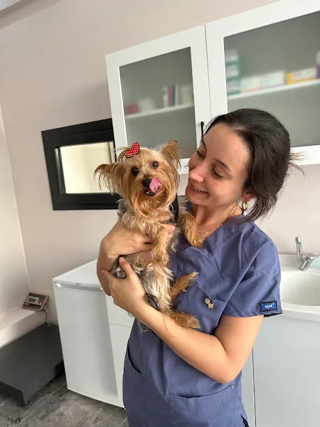 Vet Vision Veteriner Kliniği foto 1