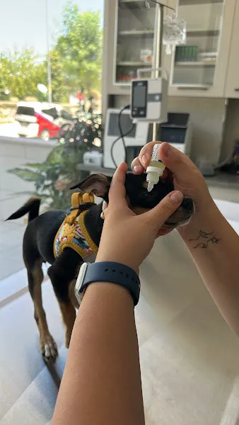 BOZDAĞ Veteriner Kliniği Isparta foto 2