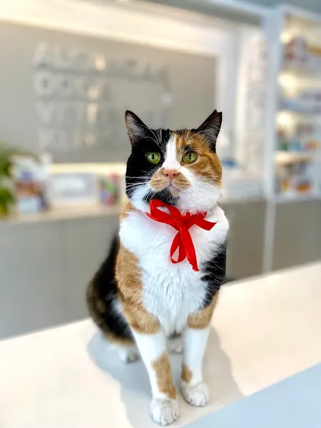 Alsancak Doğa Veteriner Kliniği foto 1