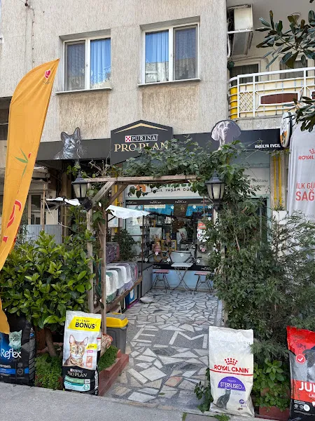 Vanilya Evcil Yaşam Dükkânı foto 1