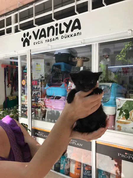 Vanilya Evcil Yaşam Dükkânı foto 2