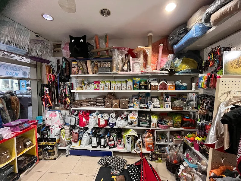 Mars Pet Market foto 2