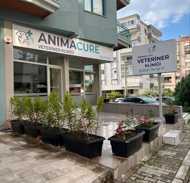 Animacure Veteriner Kliniği foto 1
