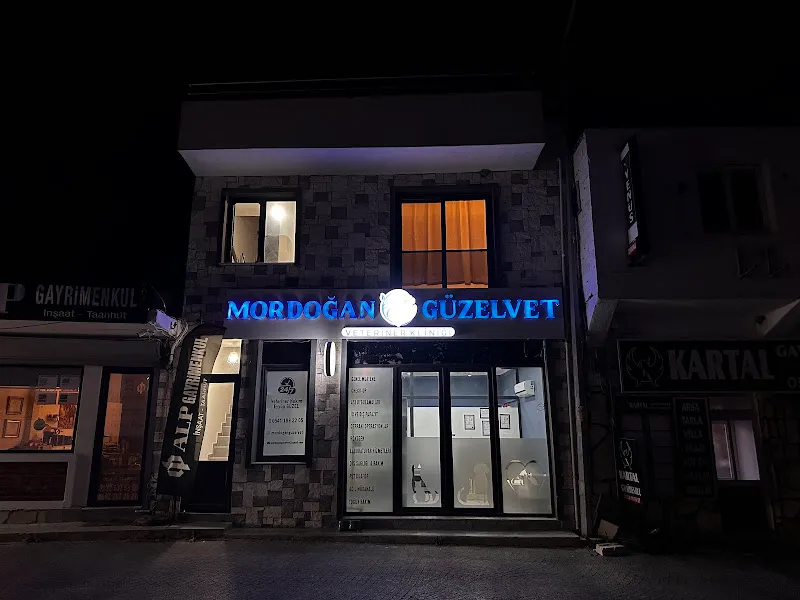 Mordoğan GüzelVet Veteriner Kliniği foto 1