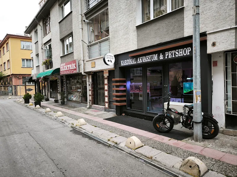 Kardinal Akvaryum & Petshop foto 1