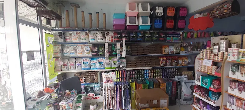 Hobim Pet Shop foto 2