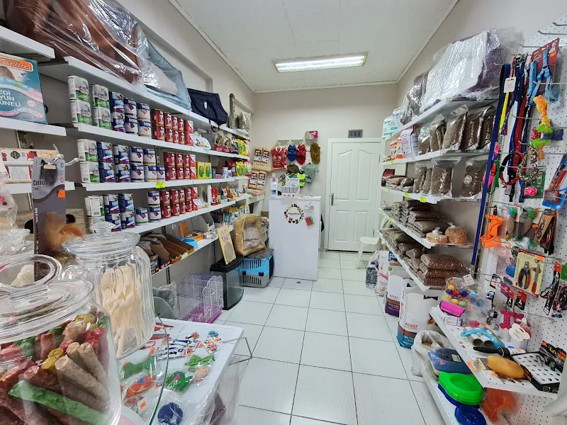Uğur Petshop foto 2